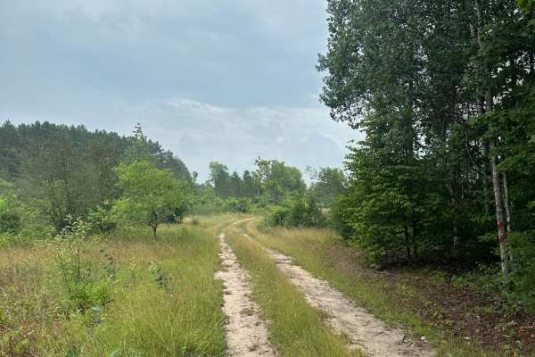 Fortine Loop
