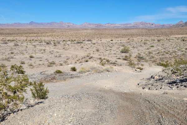 Desert Byway
