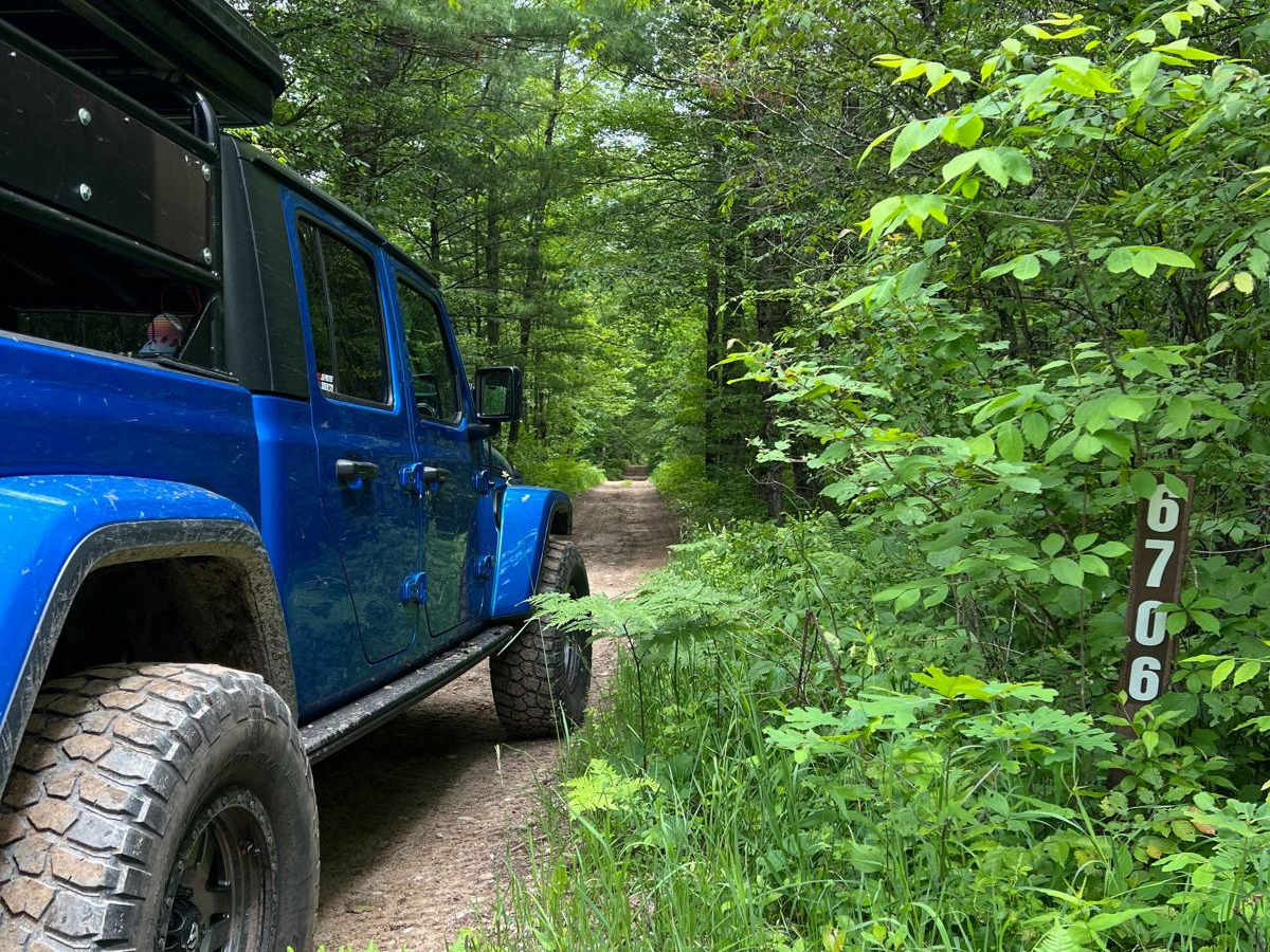 NFS 6706 trail photo