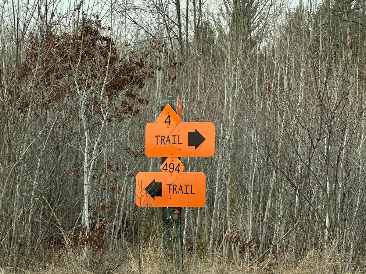 LP 494 trail photo