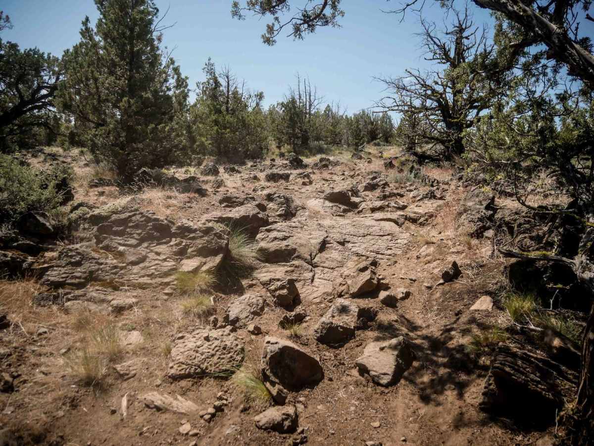 47 trail photo