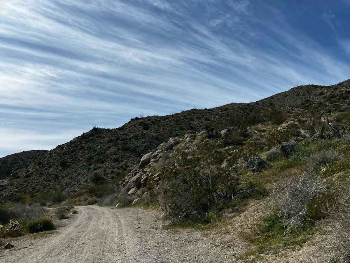 Grapevine Canyon Trail trail photo