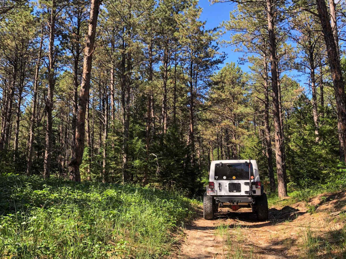Three Camps (West) - NFR 201-2 trail photo