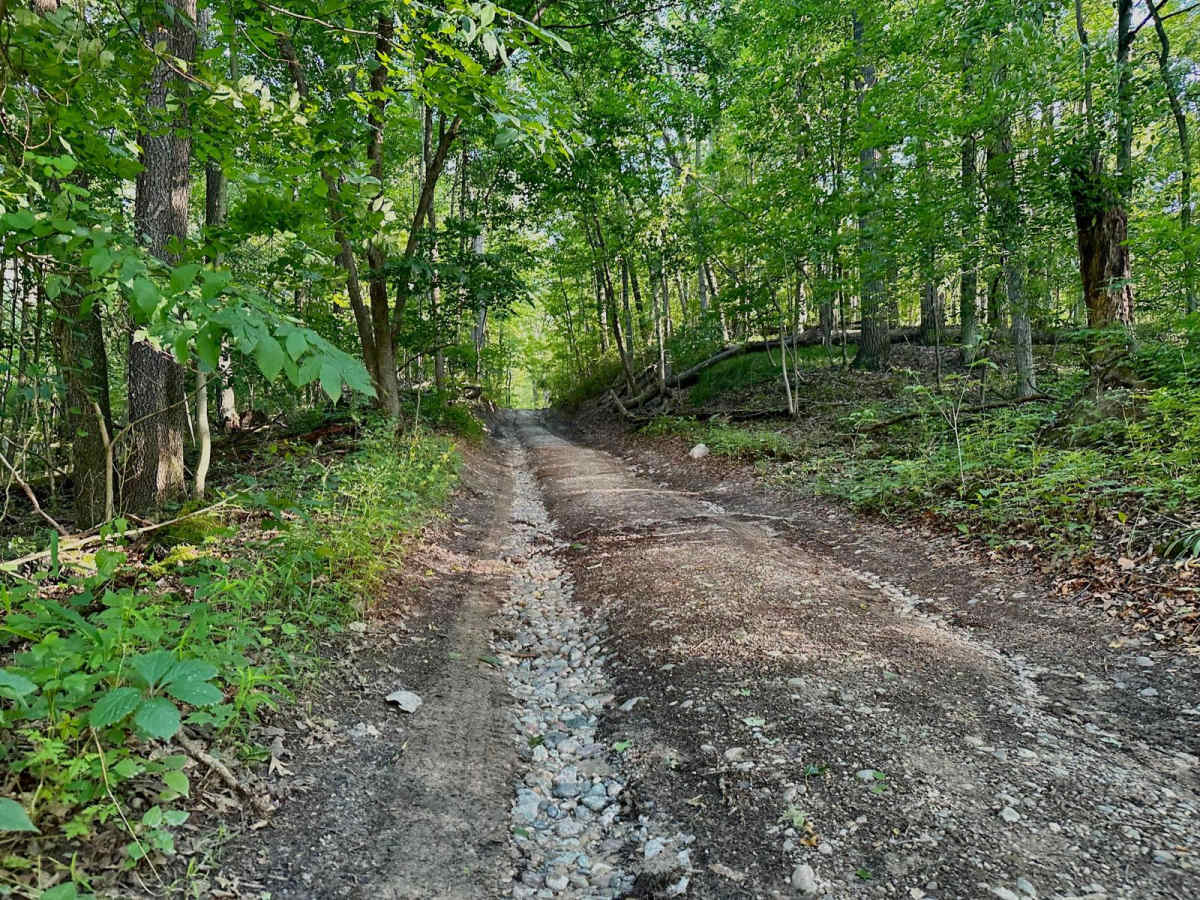 Montcalm Ave Northeast Trail photo 4