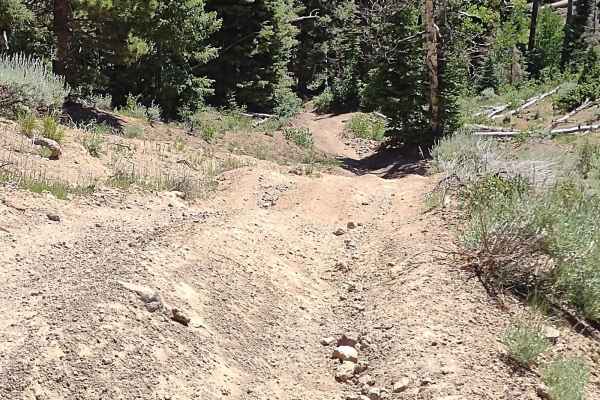 The Ugly, The Bad, and The Good (FS 40630/Dry Hollow/Trail ID 70)