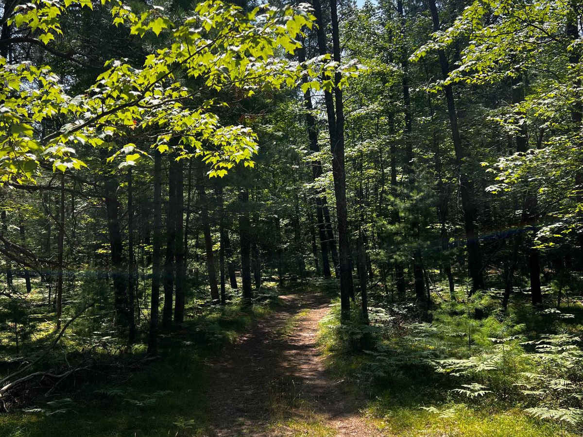 Filer Creek Trail photo 3