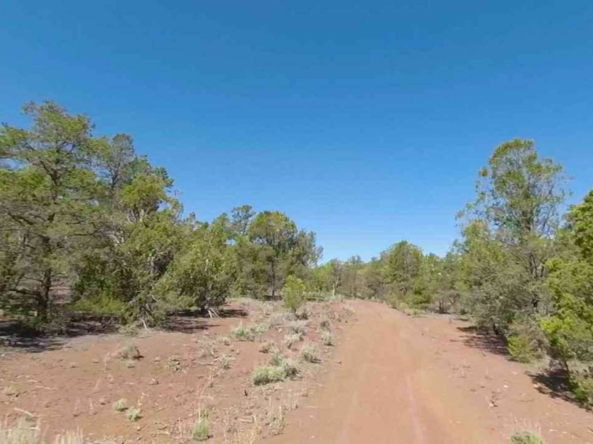Slide Mountain Road BLM 1030 photo 3