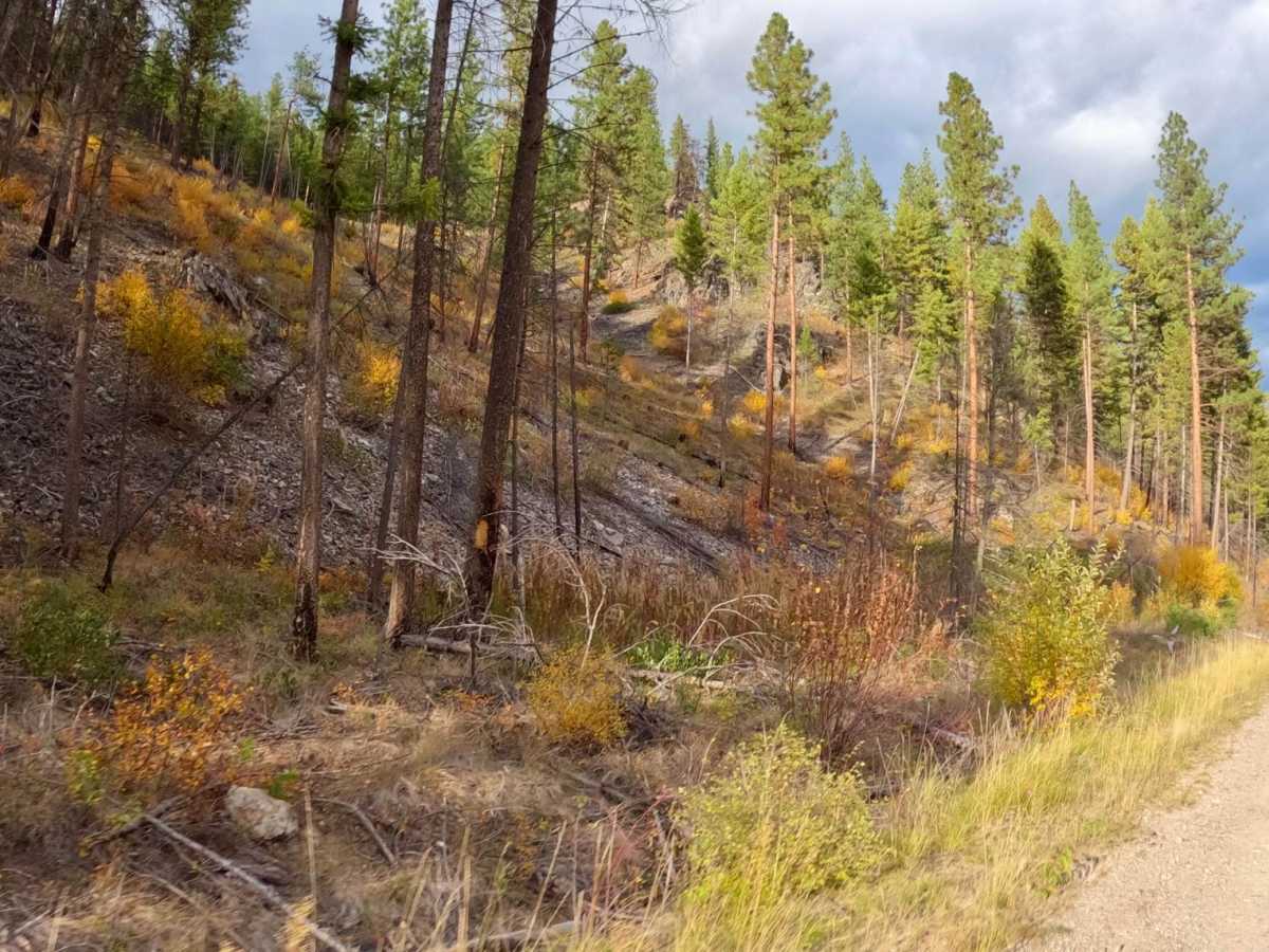 Sunrise Point Road photo 6