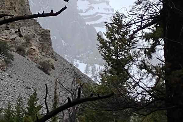 Chimney Gulch to Mammoth Canyon
