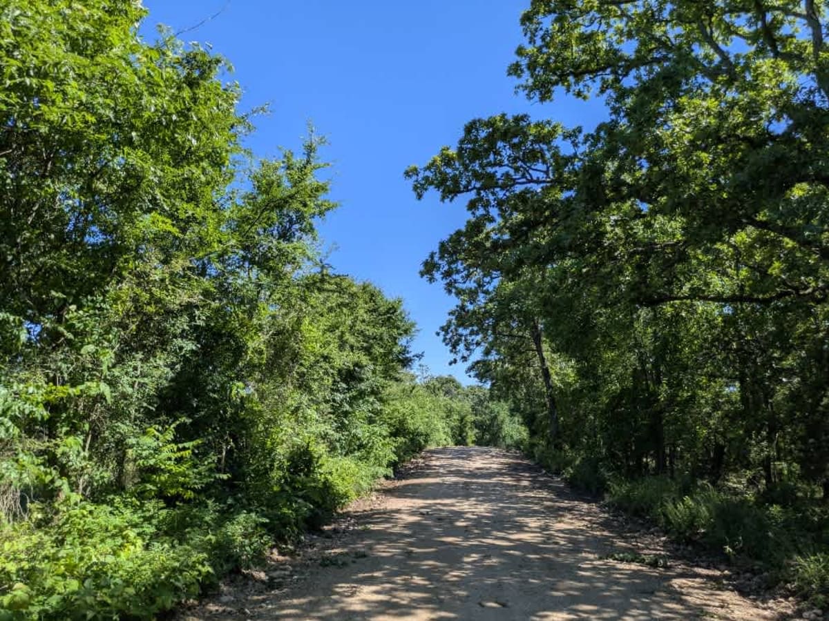 South 460 trail photo