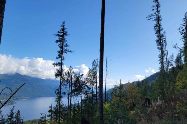 Milford Lake