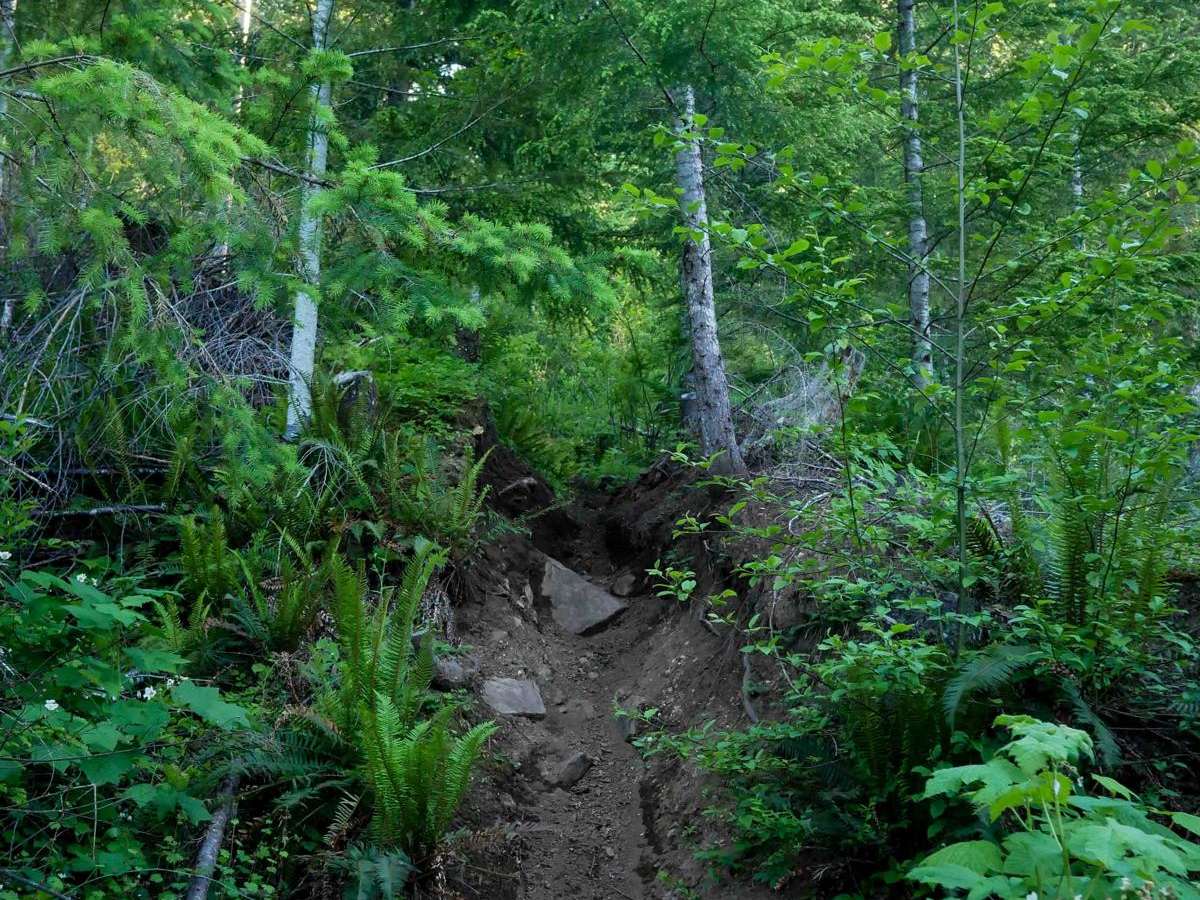 Beaverslide #52 (Extreme) photo 4