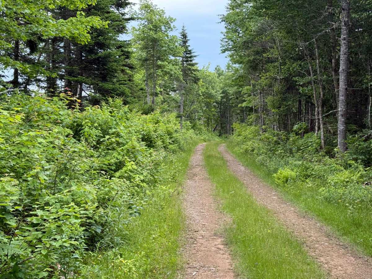 Sandy MacDonald Trail photo 3