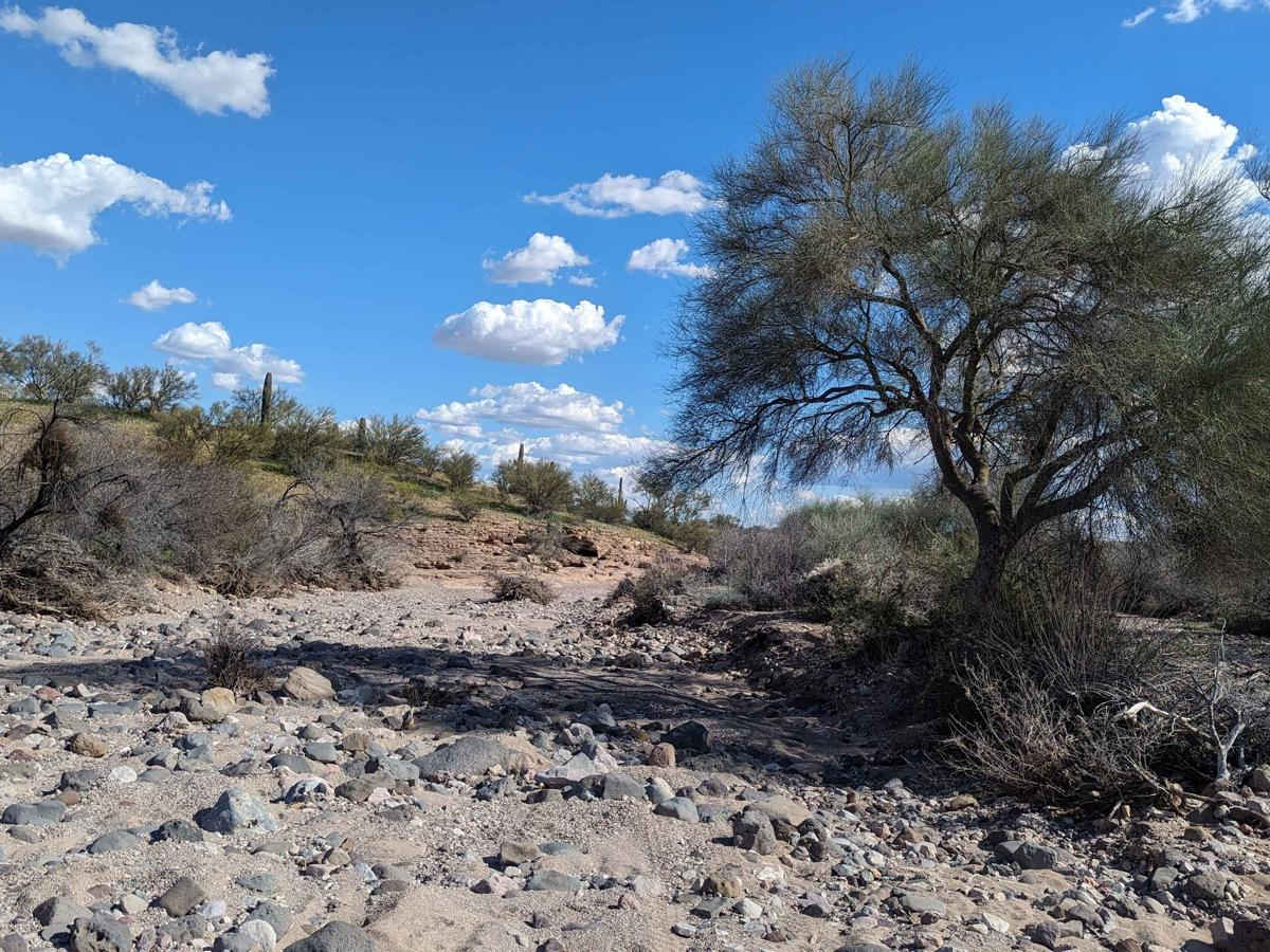 Jackrabbit Wash photo 2