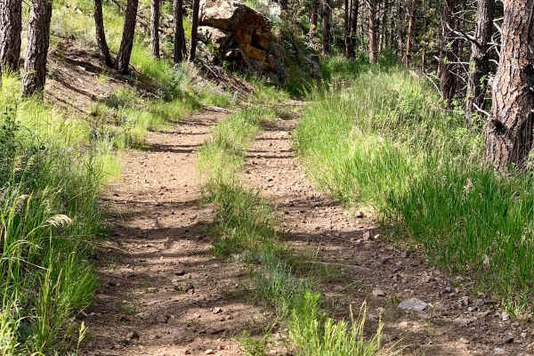 Bowman Road Loop