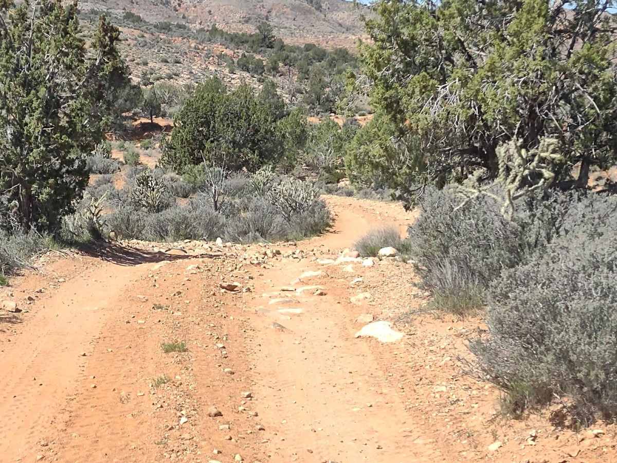 Red Canyon 2.5 photo 4