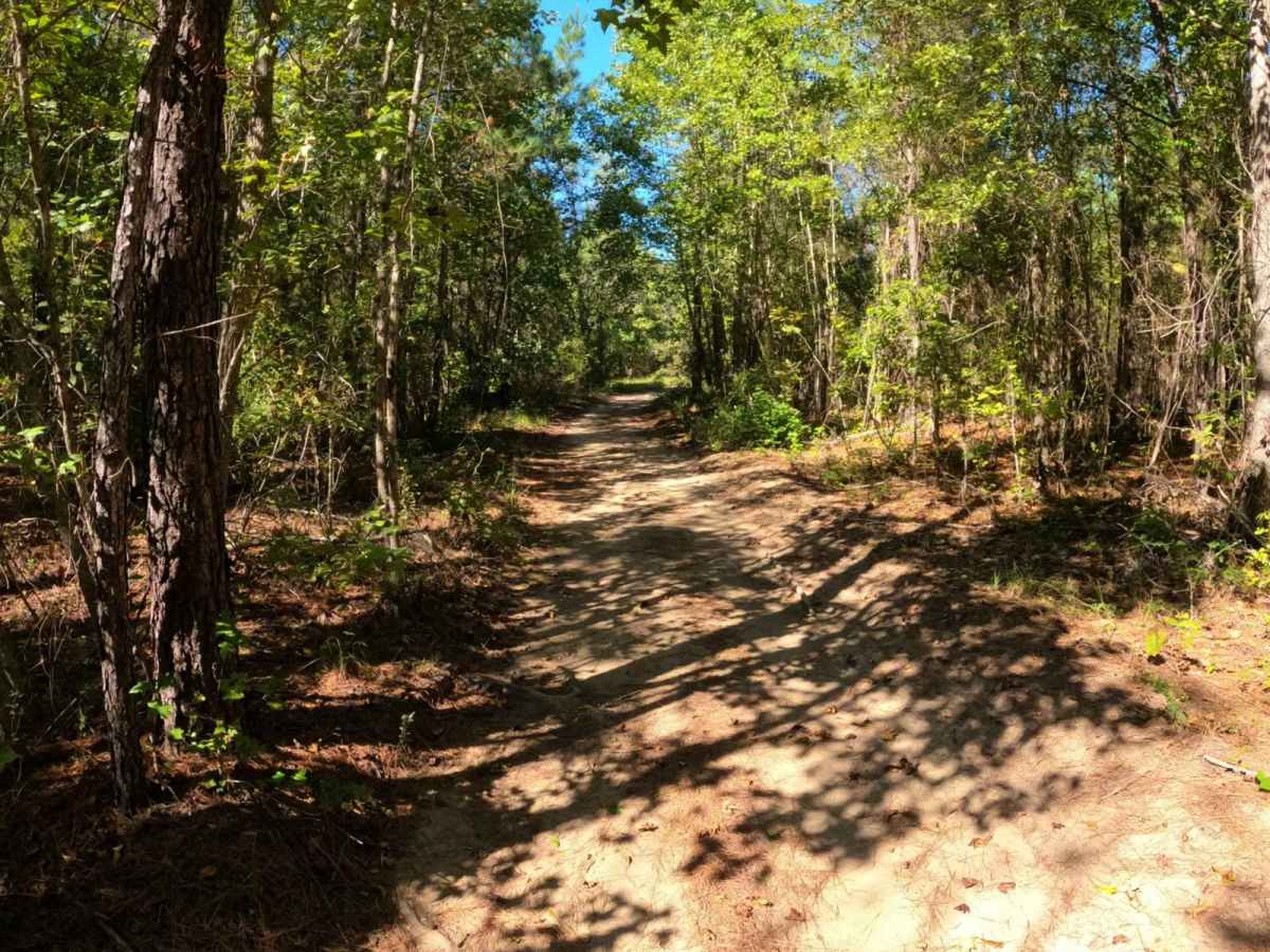Twilight Lane trail photo