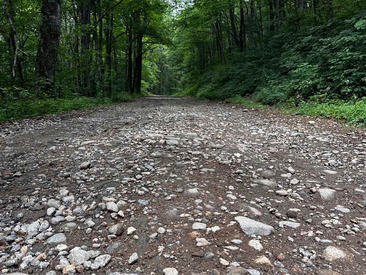 Cooper's Gap photo 6