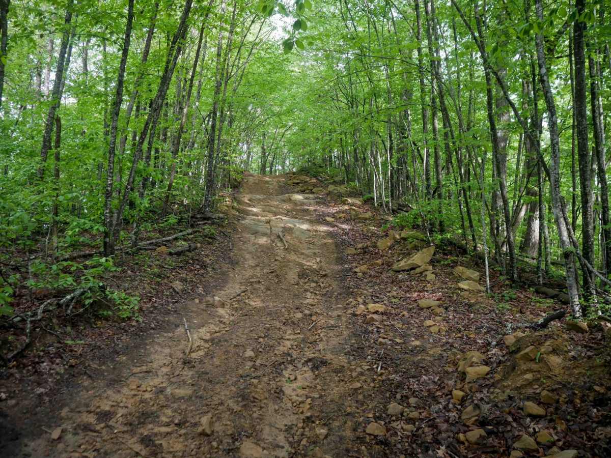 B59 trail photo