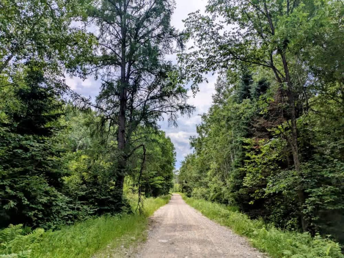FS 278 trail photo