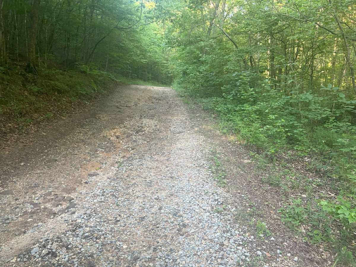 Dry Creek Branch  C - Forest Road 226C photo 6