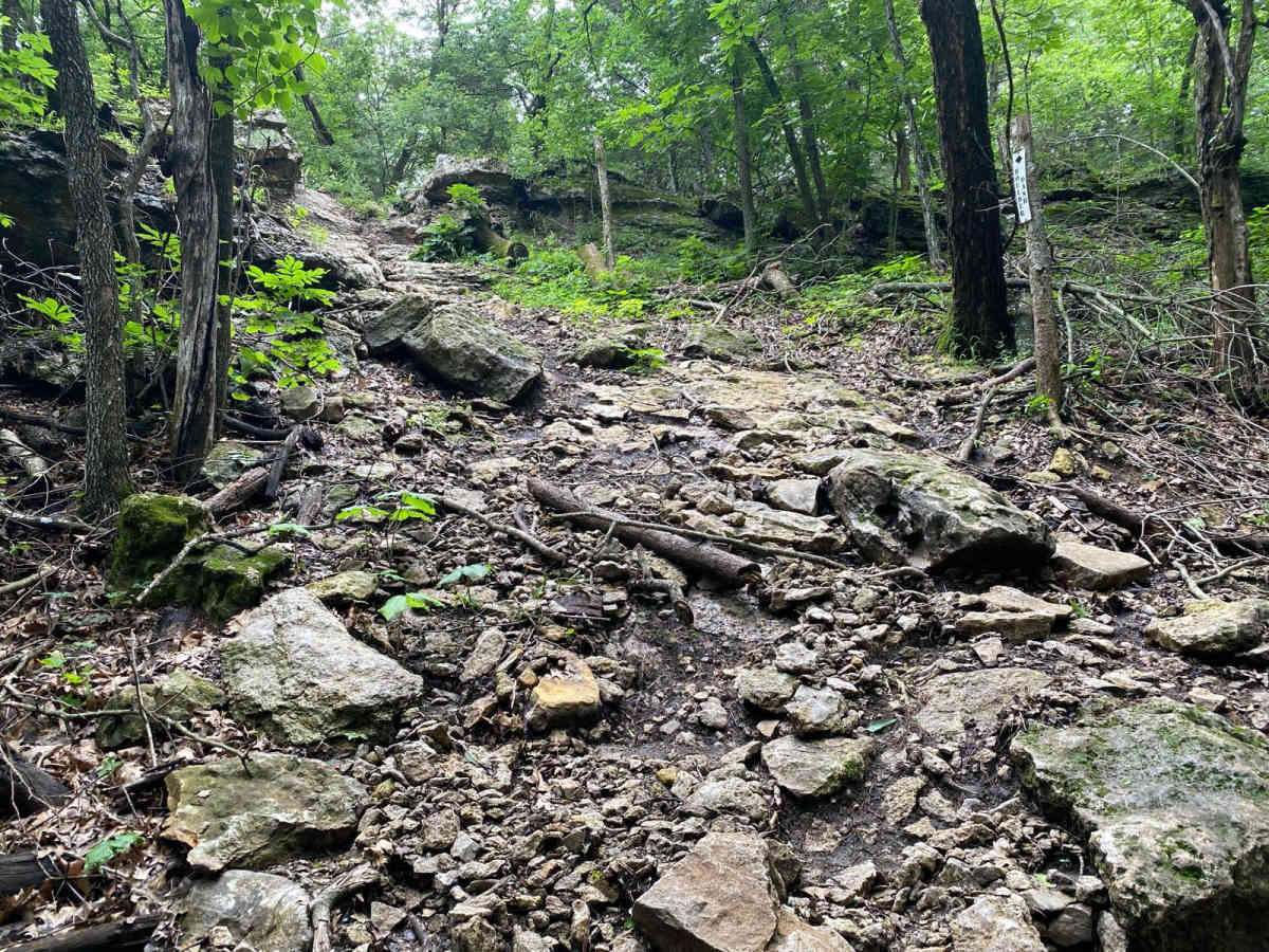 Boulder Dash photo 3