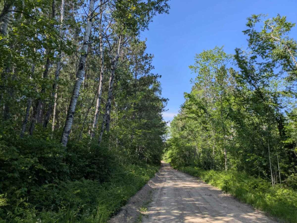 FS 3409 trail photo