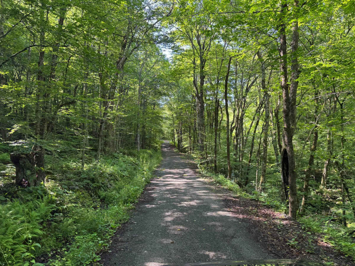 Shin Creek Road photo 5