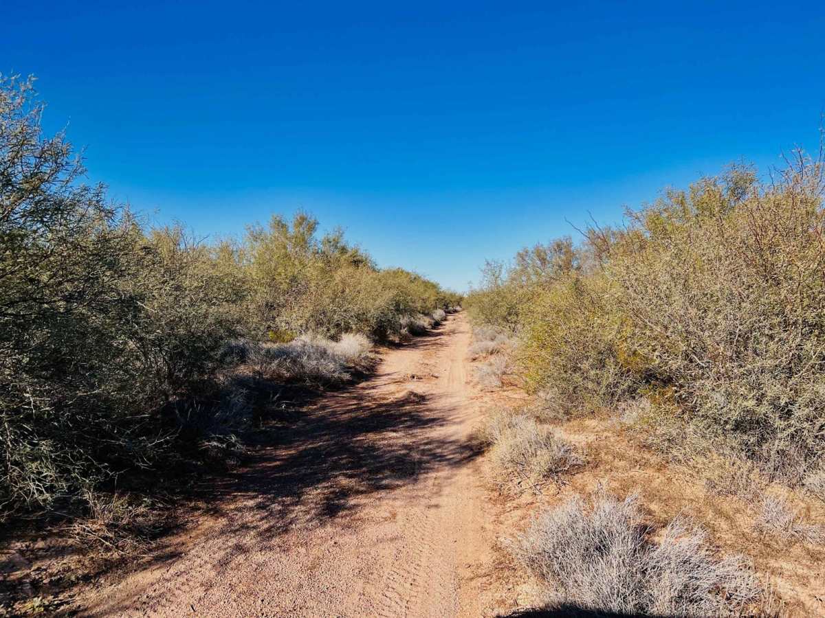 Corral to Corral Cutover photo 4