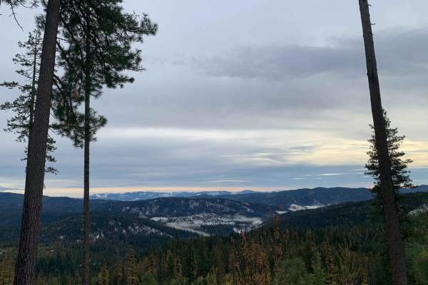 Blue Creek (499)