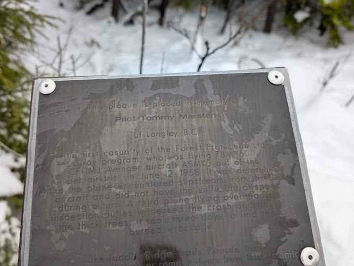 Millville Plane Crash photo 6