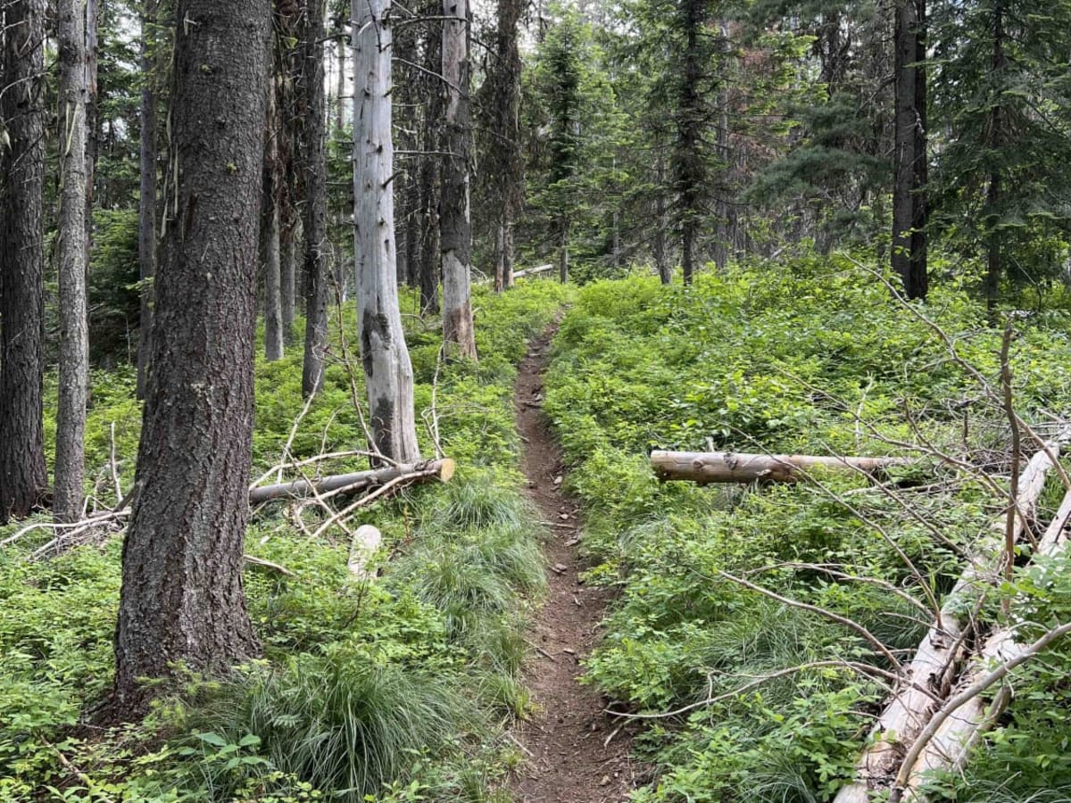 Jewel Gulch trail photo