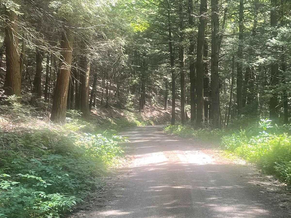White Deer Creek Road photo 2