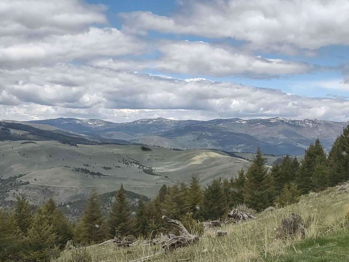 Badger Creek trail photo
