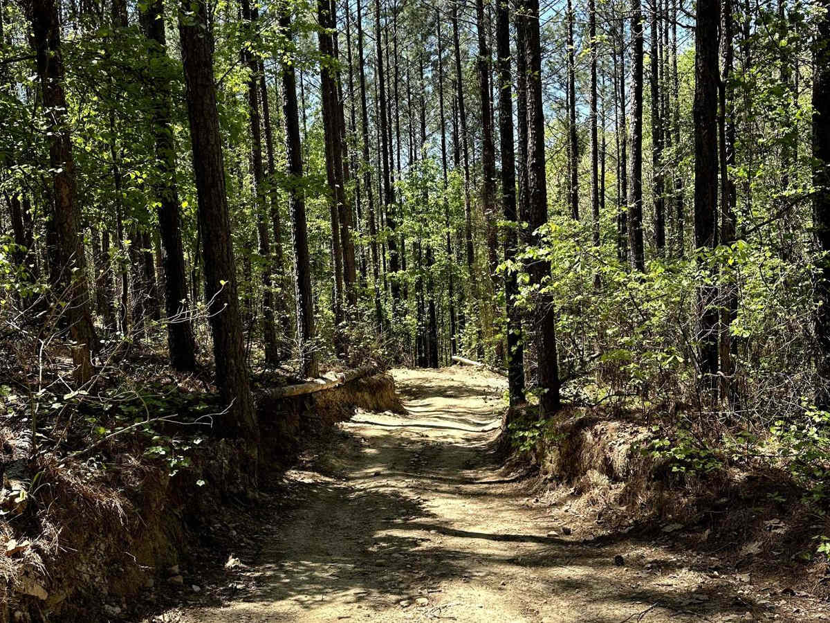 Trail 1 photo 3