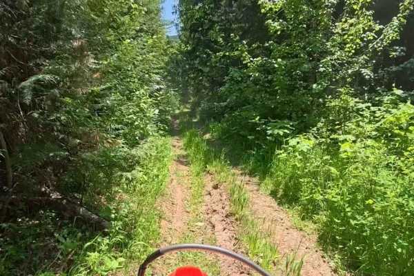 Coon Creek Trail (FDR 3300)