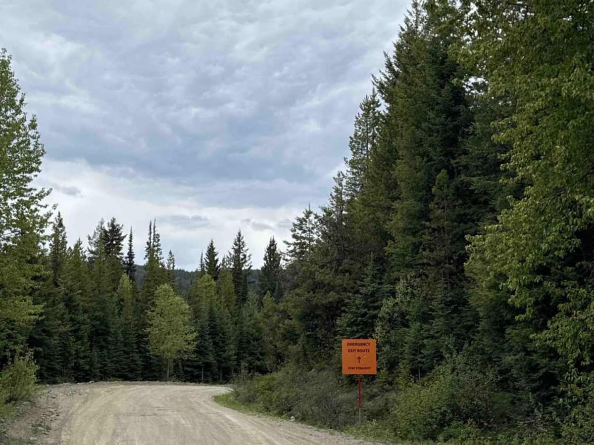 Jackpine Forest Service Road photo 4