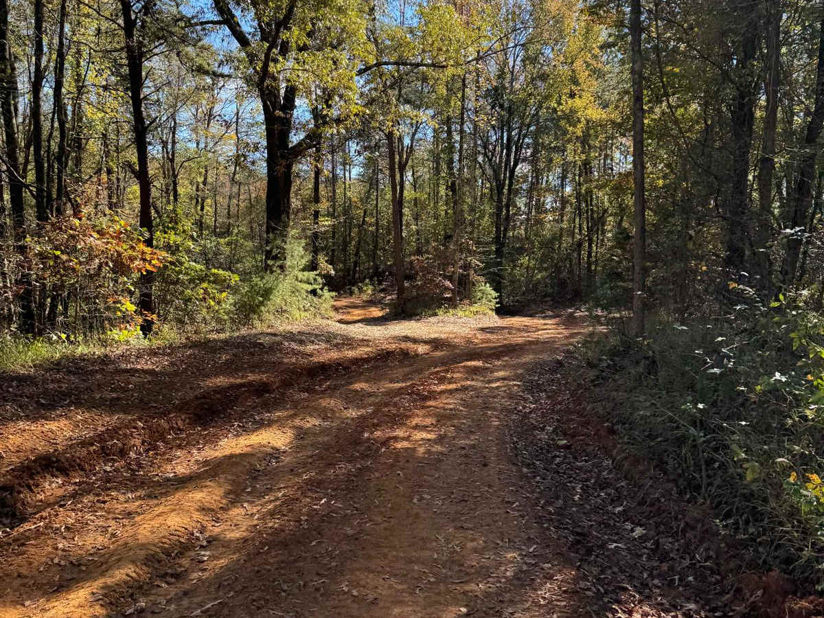 #80 Road to Primitive Camping photo 2