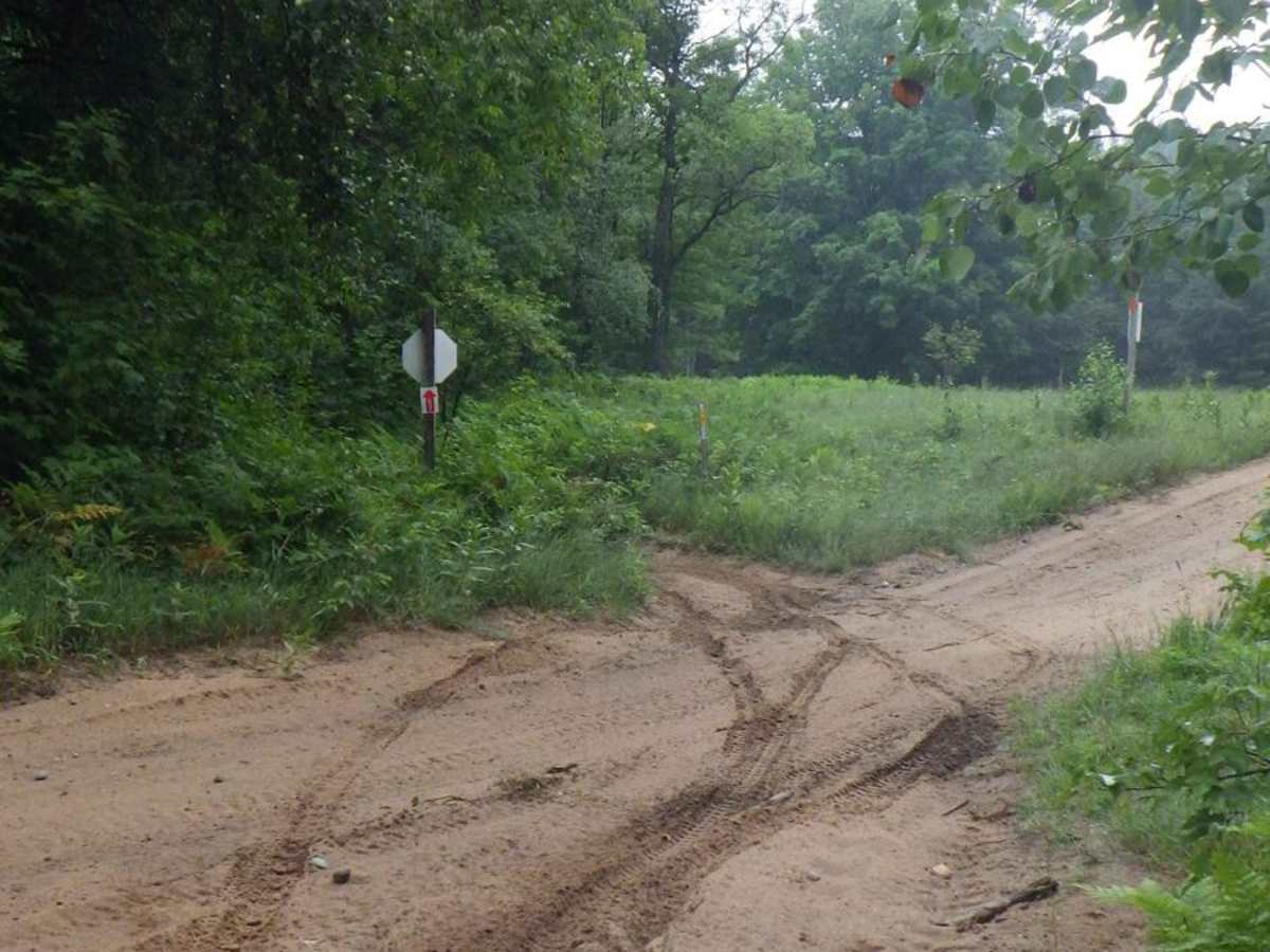 Kalkaska ORV Trail - North photo 3