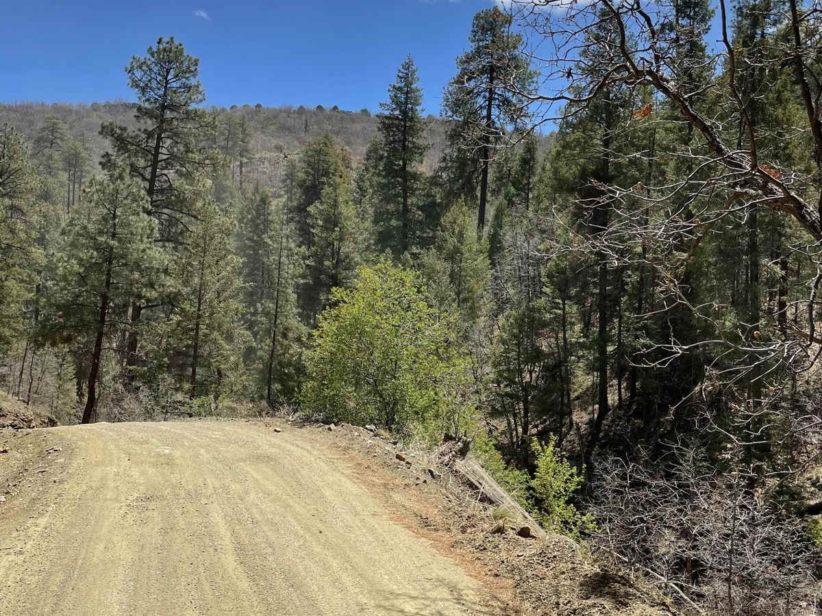 Breezy Pines Road photo 6
