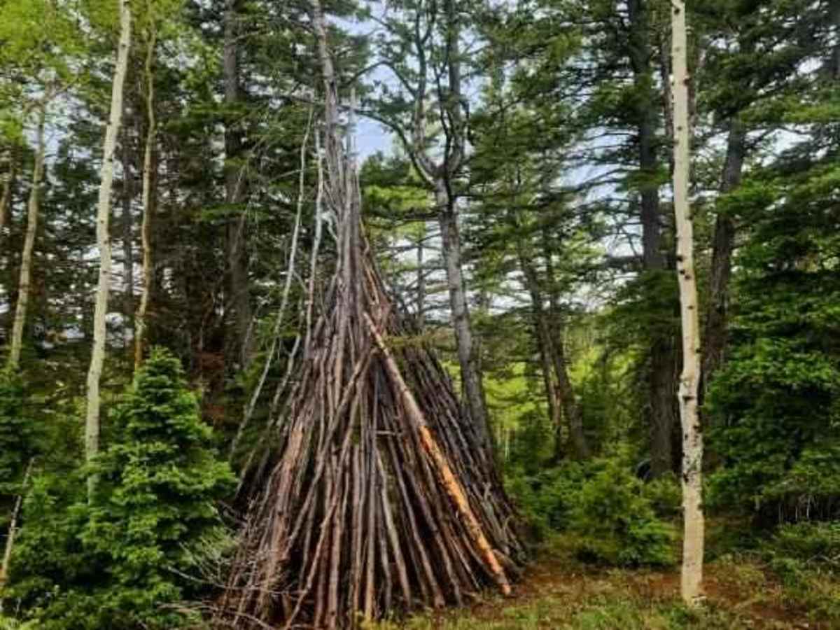 Grizzly Ridge Yurt photo 5