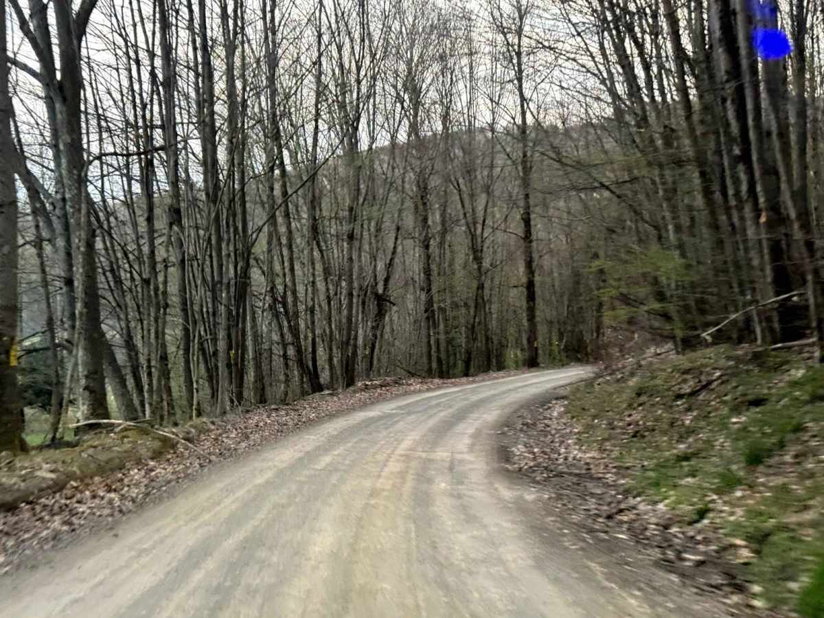 Cross Road photo 4