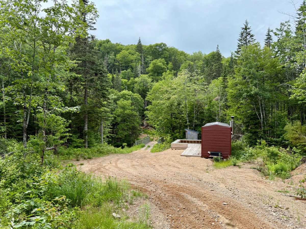 Trout River Trail photo 6