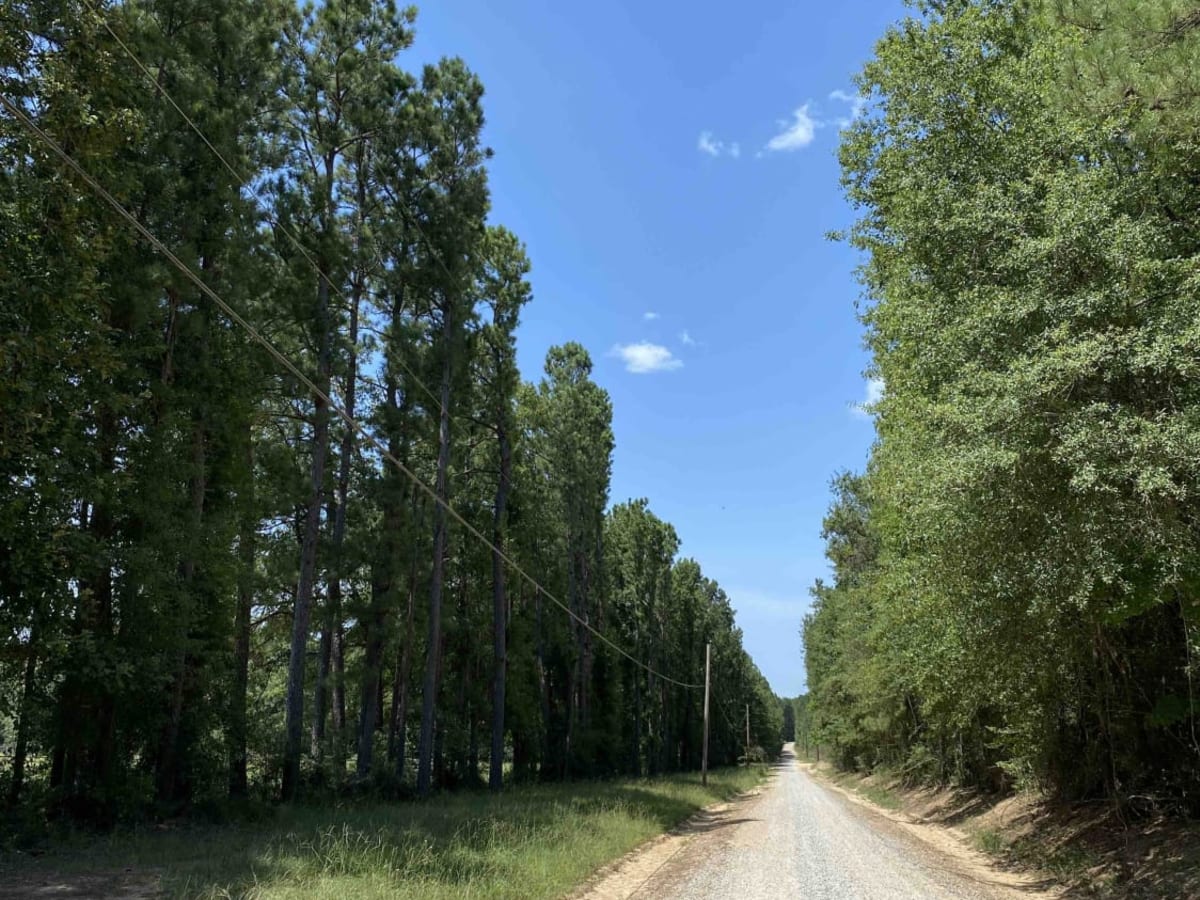 Clayton Holmes Rd photo 3