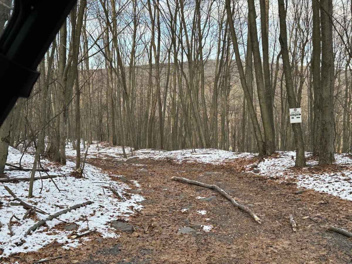 Locust Gap 52 photo 4