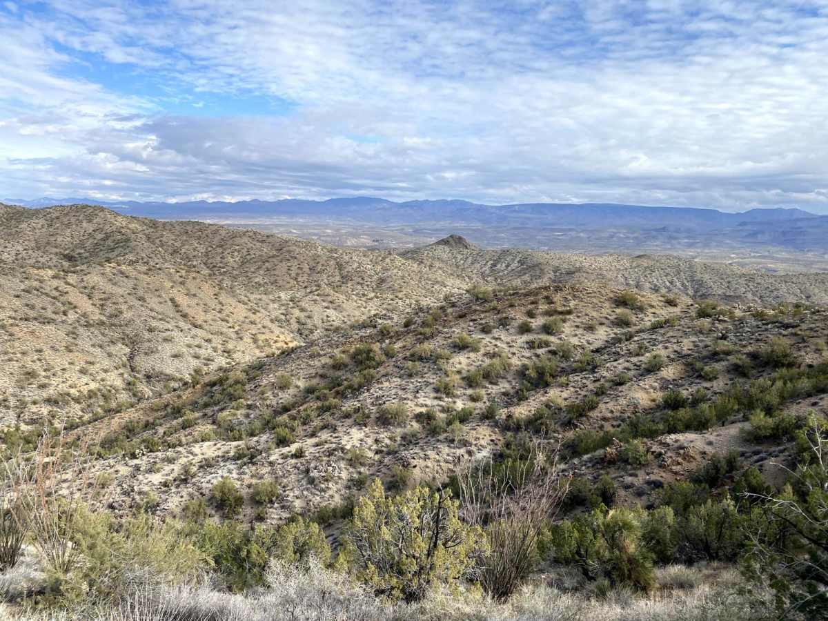 Shannon Basin Trail photo 4