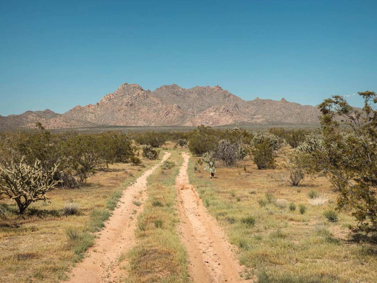 Date Creek Cutoff photo 5