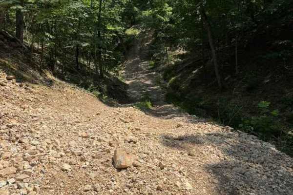 Abby's Trail