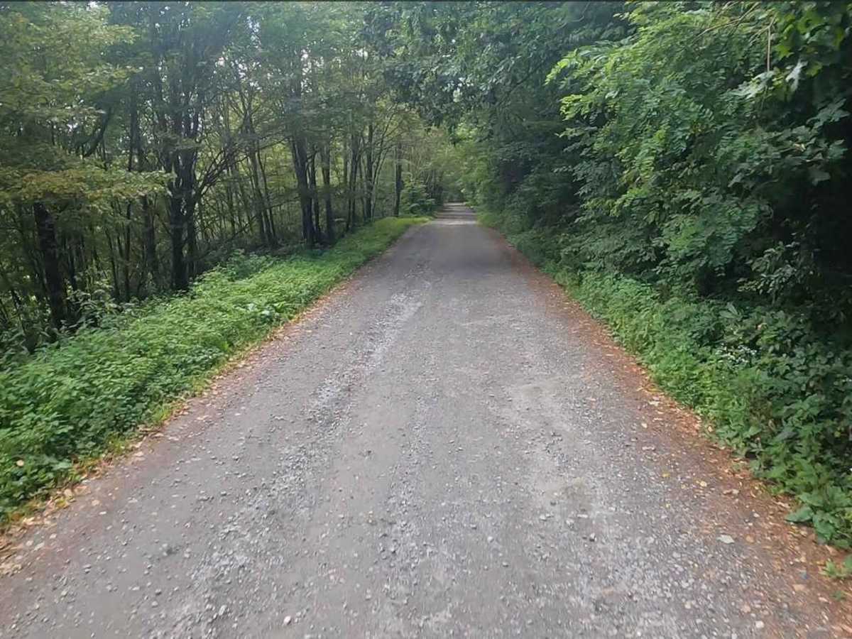 Max Patch Road photo 4