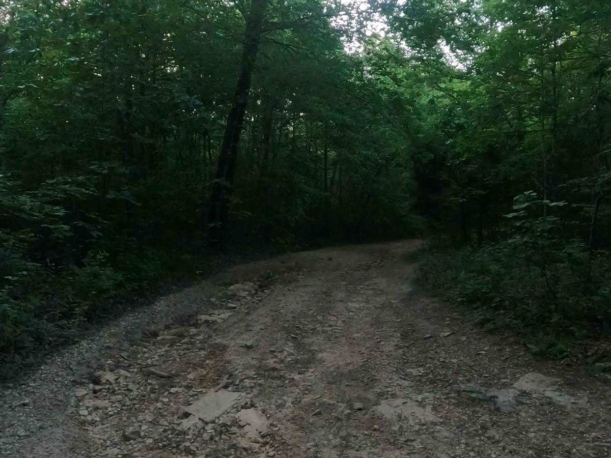 Arnett Mountain FSR 2191 photo 6